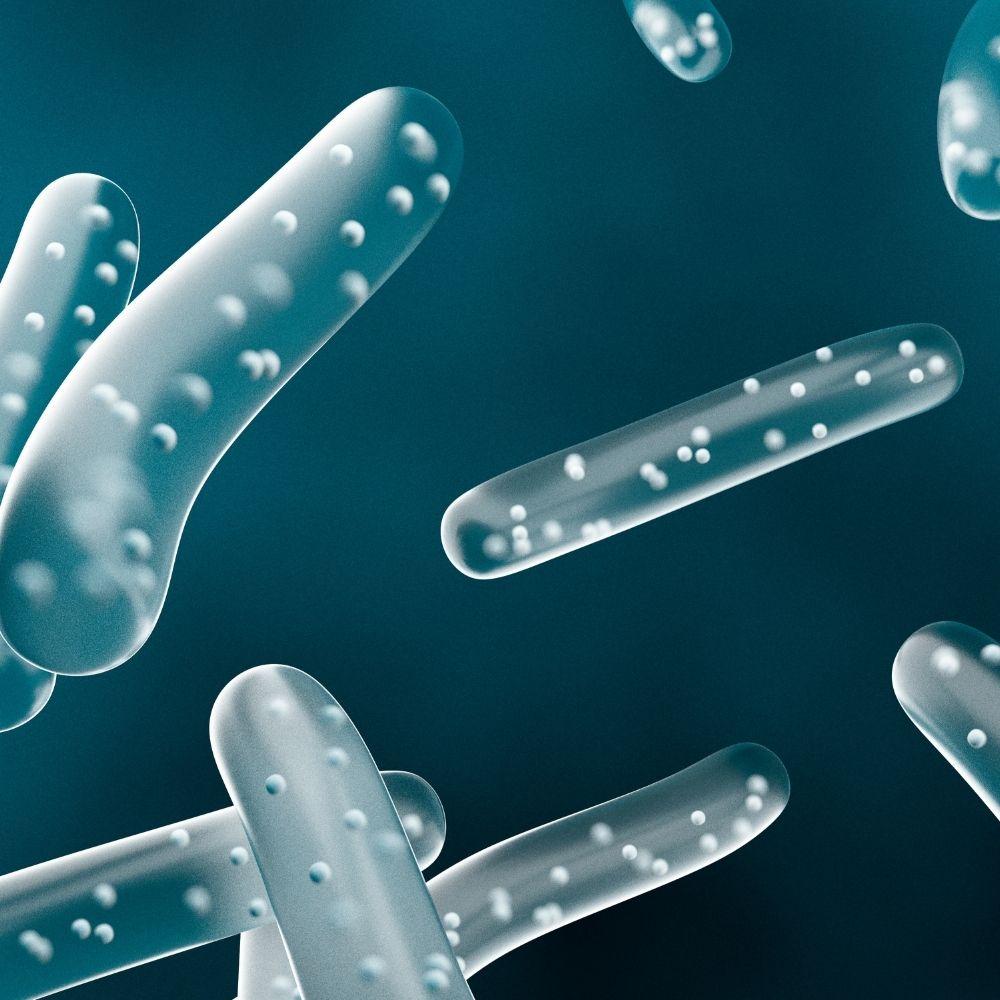Det är inte ett hygienproblem –